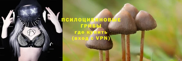 MESCALINE Баксан