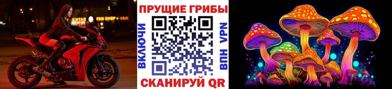 где продают наркотики  Тимашёвск  Псилоцибиновые грибы MAGIC MUSHROOMS 